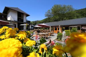 a garden with yellow flowers in front of a building at Hotel Val De La Cascade in Stavelot