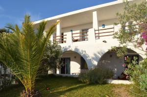 Biały dom z palmą na podwórku w obiekcie Casa Shezella w mieście SantʼAnna Arresi