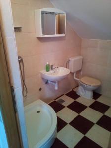 a bathroom with a sink and a toilet and a shower at Apartments Dale in Smoljanac