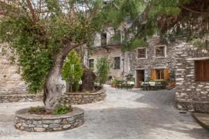 Vonkajšia záhrada v ubytovaní Villa Kastania