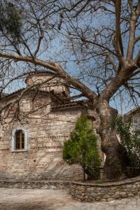 Fotografia z galérie ubytovania Villa Kastania v destinácii Kastanéa
