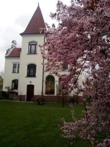 a large white house with a tree with pink flowers at Villa Liduška s kavárnou in Bechyně