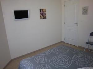 TV a/nebo společenská místnost v ubytování Hotel Le Colbert epernay