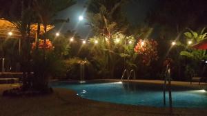 uma piscina à noite com luzes em Hotel Roca Negra Del Arenal em La Fortuna