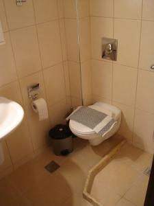 a small bathroom with a toilet and a sink at Old Town Apartments in Chania Town