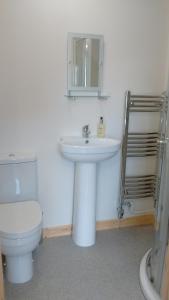 a bathroom with a sink and a toilet and a mirror at Fara 2 room, 1 bedroom - B&B private suite in Kirkwall