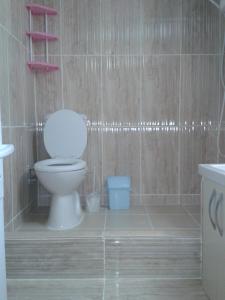 Çınarcıkにあるmai AK pansiyonのバスルーム(トイレ、青いゴミ箱付)