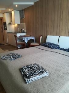 Posteľ alebo postele v izbe v ubytovaní Apartment Vilnius Zemaitijos