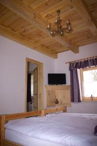 Schlafzimmer mit einem Bett, einem TV und einer Decke in der Unterkunft Harmatcsepp-Vendégház in Kercaszomor