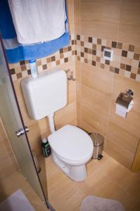 a small bathroom with a toilet and a shower at Harmatcsepp-Vendégház in Kercaszomor