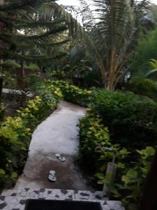 梦幻小屋旅馆外面的花园