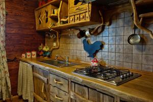 a kitchen with a sink and a stove top oven at Agroturystyka Żabi Raj Serock - Pułtusk in Pokrzywnica