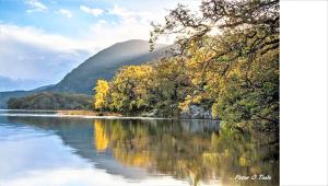 Paisagem natural perto of the country house