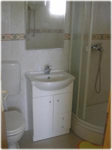 Koupelna v ubytování Apartments Podlesek