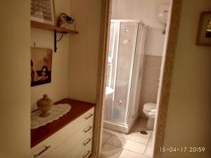 y baño con ducha, lavabo y aseo. en Villa Melina Appartamenti en Santa Maria di Castellabate
