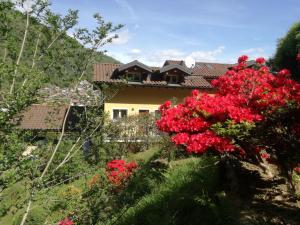 Zahrada ubytování Cascina nel Bosco