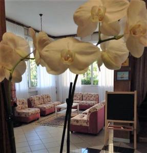 Hotel Primula في ليدو دي سافيو: غرفة معيشة مع زهور بيضاء أمام التلفزيون
