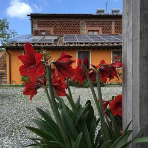 un gruppo di fiori rossi di fronte a una casa di Corte Capitani a Capannori