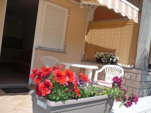 a planter with red flowers and two white chairs at Apartmani Ruža in Novalja