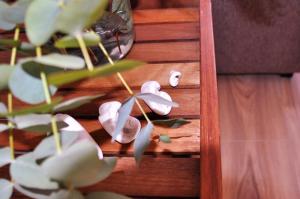 Fotografie z fotogalerie ubytování Apartamento en la Rambla con piscina v destinaci Santa Cruz de Tenerife