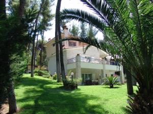 サニビーチにあるMira Forest Residencesの庭の上にバルコニー付きの家