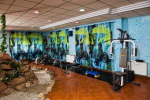 Fitness centrum a/nebo fitness zařízení v ubytování Albergo Le Macinaie - Monte Amiata