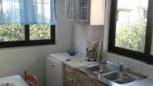 cocina con fregadero y 2 ventanas en Apartment Marik en Jelsa