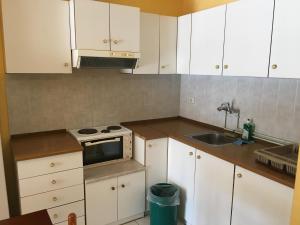 Kuchyň nebo kuchyňský kout v ubytování Argo Apartments