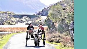 Paisagem natural perto of the country house