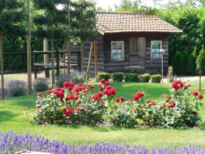 Afbeelding uit fotogalerij van B & B " De 7 Sprong " in Sevenum