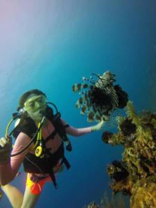 Fotografie z fotogalerie ubytování Pebble & Fins Bali Dive Resort v destinaci Tulamben