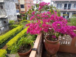 Un jardín fuera de Galaxy Inn Guest House