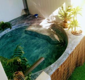 una gran piscina en un patio trasero con plantas en El Palomar de Peñarrubia, en Peñarrubia