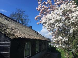 drzewo z białymi kwiatami obok budynku w obiekcie The Black Sheep Hostel w mieście Giethoorn