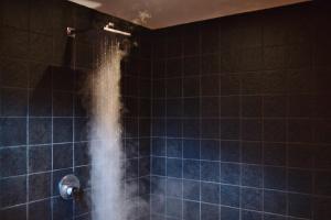 Billede fra billedgalleriet på Tenuta Domine i Imperia