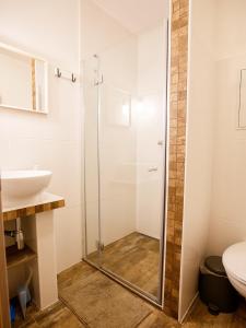 Vonios kambarys apgyvendinimo įstaigoje Apartments Pod Kotlom