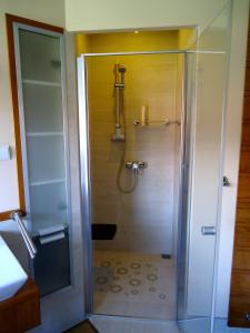 a shower with a glass door in a bathroom at Kaszubiana direkt in der Natur in Sulmin