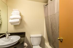 グレートフォールズにあるMotel 6-Great Falls, MTのバスルーム(洗面台、トイレ、シャワー付)
