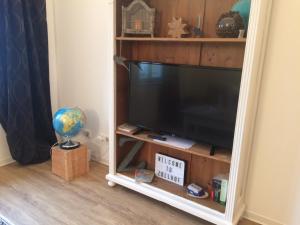einen Flachbild-TV in einem Bücherregal in der Unterkunft Stadt-Apartment in Nürnberg