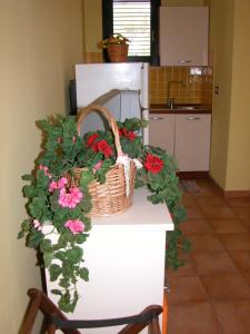 Cucina o angolo cottura di Residence Perla Rosa
