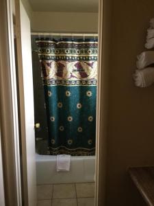 a bathroom with a shower curtain in a room at Deluxe Inn in Hebron