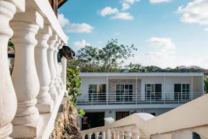 a dog looking out from the balcony of a building at The Rock House Eco in San Andrés