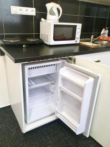 Kuchyňa alebo kuchynka v ubytovaní Apartments Radka