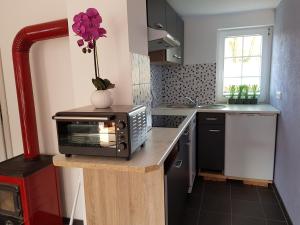 a kitchen with a microwave on top of a counter at Bungalows am Grimnitzsee in Joachimsthal