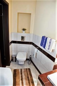 a bathroom with a toilet and a mirror at 3-Pokojowy Apartament Villa Park - Top Location in Olsztyn