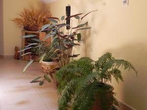 Foto da galeria de O Lar de Carmiña em Devesa