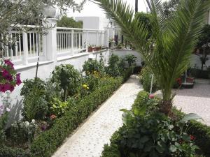 a garden with plants and flowers in a building at Hotel Angela in Asprovalta
