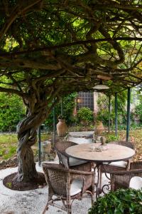 帕拉亞的住宿－安迪卡迪莫拉萊奧尼斯酒店，大树下一张桌子和椅子