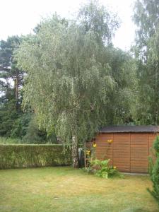 a tree in a yard next to a garage at Ferienhaus Marleen in Pritzier