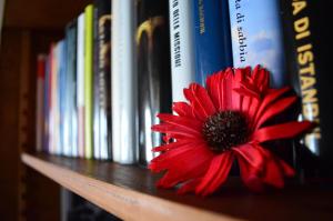 una flor roja está sentada en un estante de libros en B&B Elizabeth, en Ponte di Piave